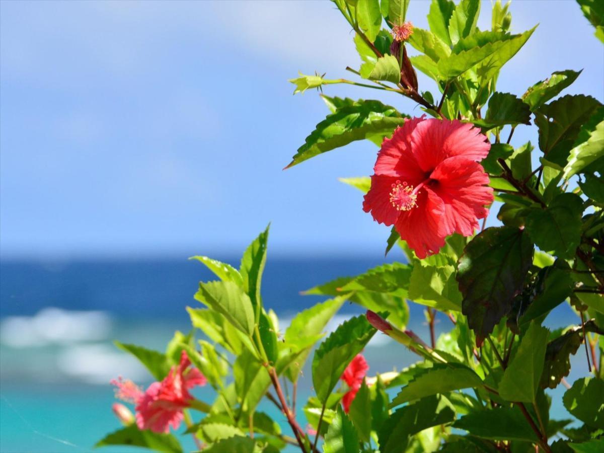 Allamanda Imgya Coral Village Miyakojima  Exterior foto